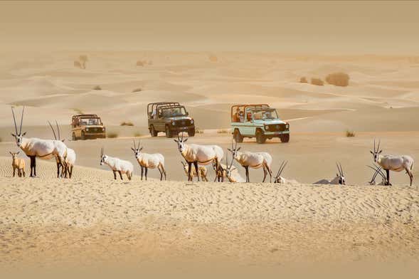 Al Marmoom Oasis Vintage 4x4 Desert Safari