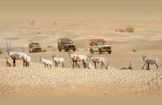 Al Marmoom Oasis Vintage 4x4 Desert Safari