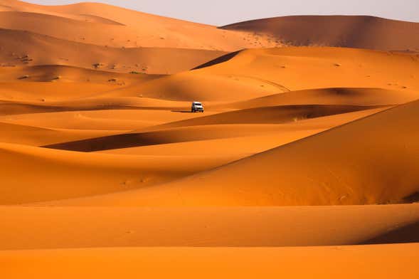Desert Safari with Dinner & Show