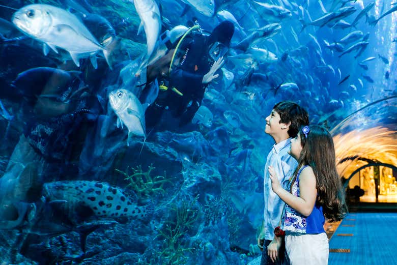Wondering at the hundreds of fish!