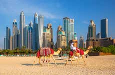 Dubai + Desert Safari Tour