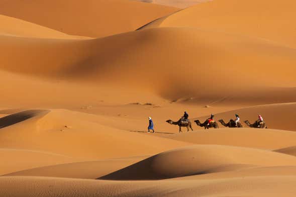 Dubai Desert Camel Ride with Dinner & Show