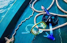 Dibba Al-Fujairah Snorkelling Tour